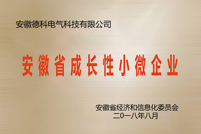 安徽省成长性小微企业