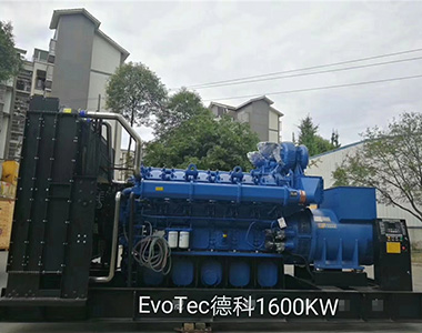 德科1600KW/400V陆用发电机应用于某工厂项目